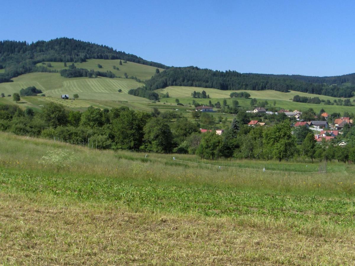 Apartment "U Zemanov Na Sajbe" Sebő Kültér fotó